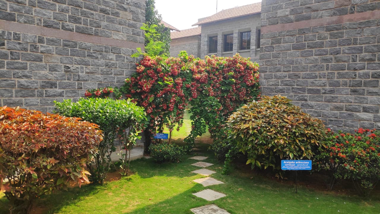 WhatsApp Image 2025-12-13 at 12.51.47 PM (1)